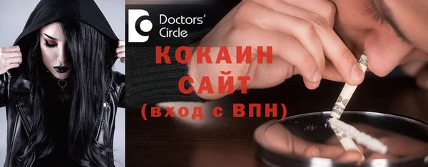 mdpv Вяземский