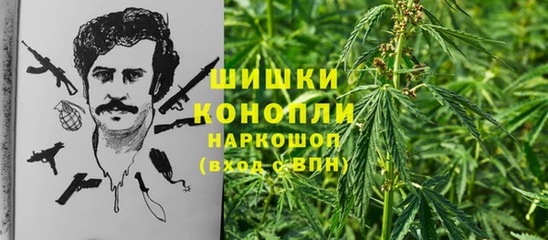 mdpv Вяземский
