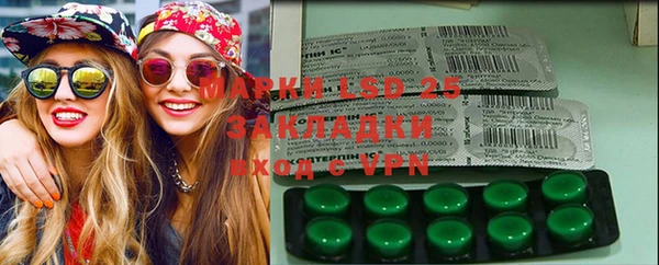 mdpv Вяземский