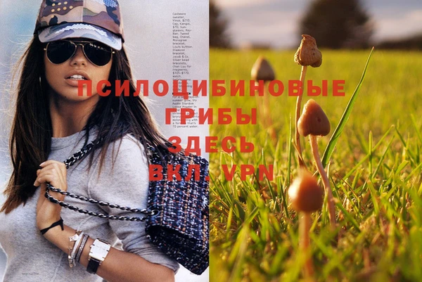 MESCALINE Вязьма