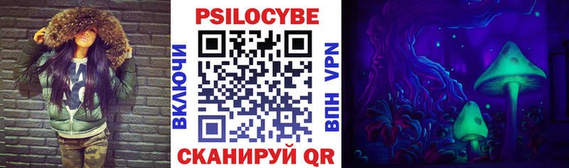 закладка Облучье kraken онион Галлюциногенные грибы Psilocybe